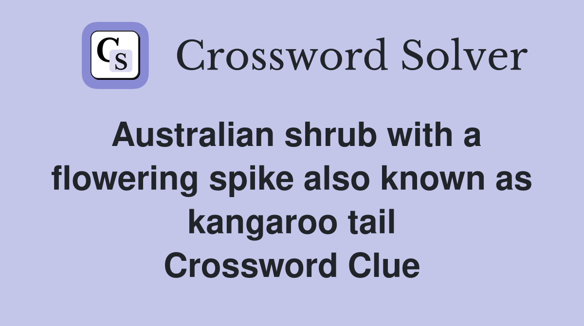 Australian Shrub Crossword Clue